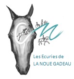 Nouveau pour faire du Cheval à Brou - Centre équestre Equitation, club hippique, Les Écuries de La Noue Gadeau à Brou en Eure et Loir (28)